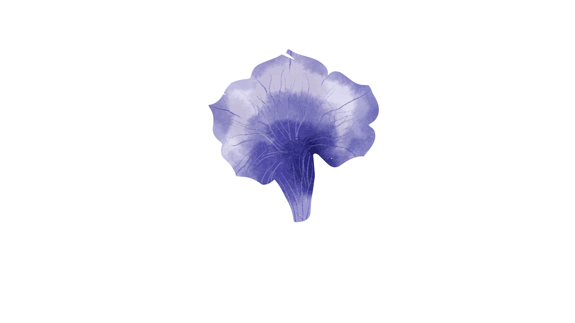 Bottom-right corner decoration