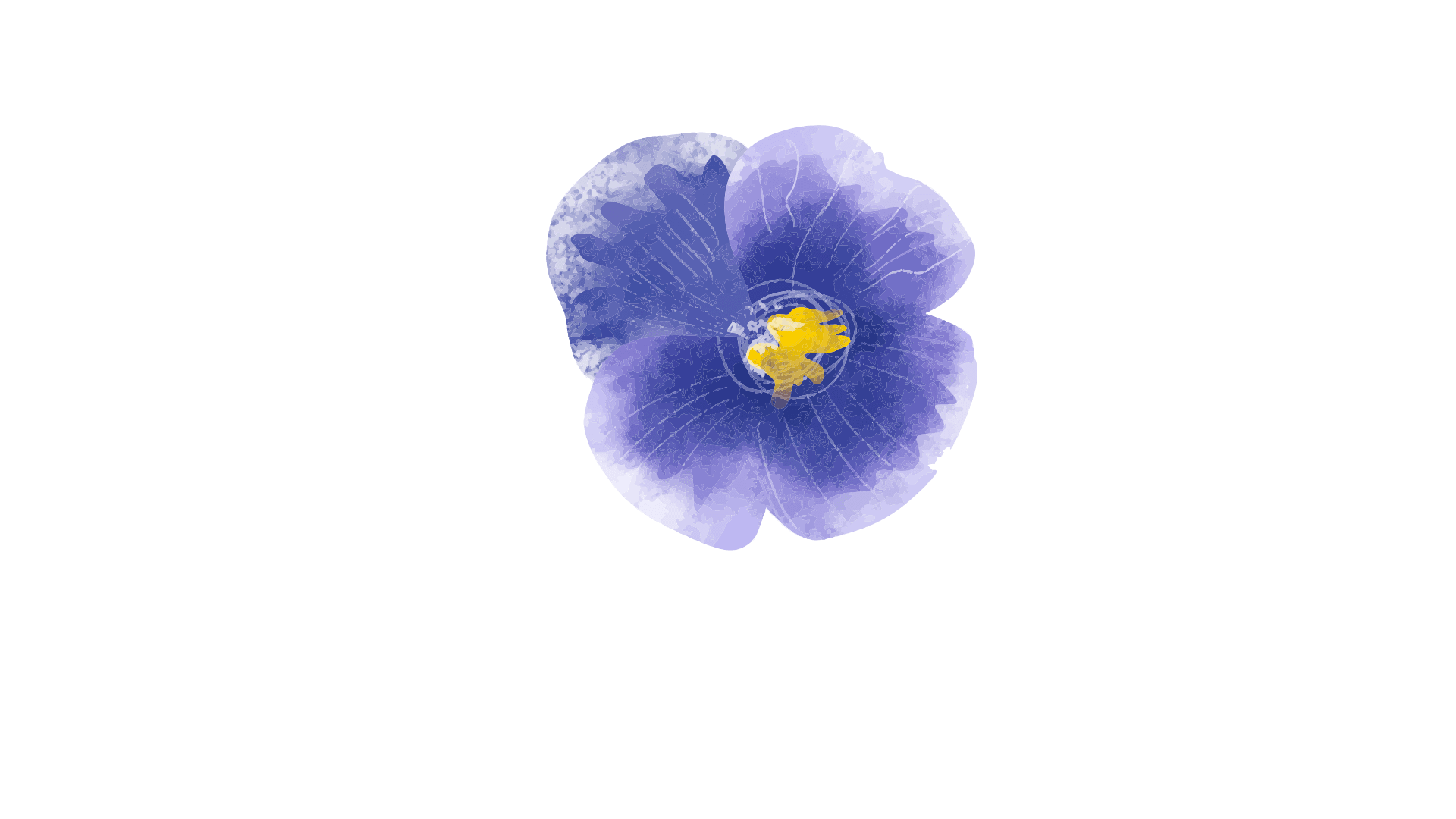 Top-left corner decoration